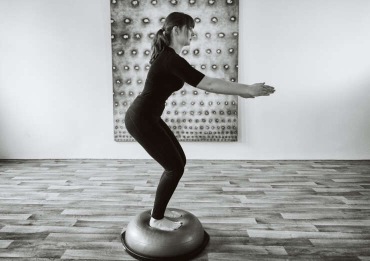 bosu-740x522.jpg